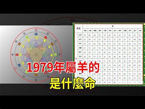 1979年五行屬什麼|1979年属羊是什么命，79年出生五行属什么